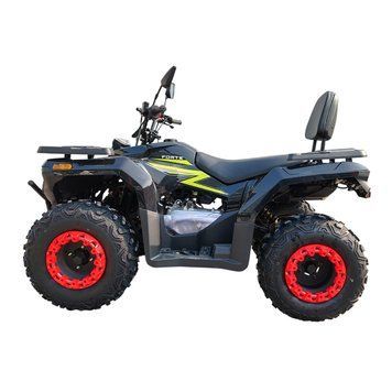 Квадроцикл Forte ATV-200BS-К PRO Чорно-Зелений  370638 купити в Україні