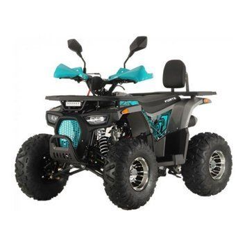 Квадроцикл FORTE ATV125P, сіро-блакитний  366946 купити в Україні
