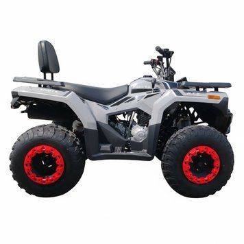 Квадроцикл Forte ATV-200BS PRO Сірий  371871 купити в Україні
