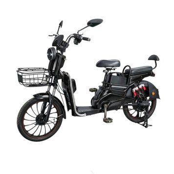 Велоскутер акумуляторний CLEO Forte Чорний  370494 купити в Україні