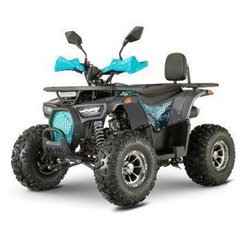 Квадроцикл FORTE ATV150P Чорно-блакитний  368831 купити в Україні