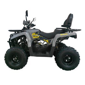 Квадроцикл MIKILON HAMMER U-38 200L PRO Сірий  370715 купити в Україні